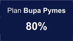 Plan Pyme 80%